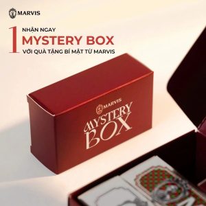 Hộp Mystery Box Marvis 1